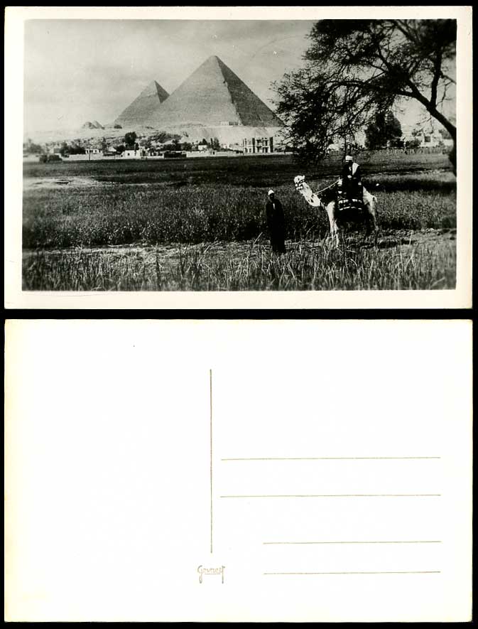 Egypt Old Real Photo Postcard Cairo Pyramids Giza, Camel Rider, Village Panorama