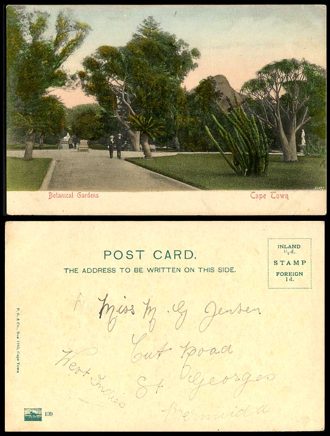 South Africa Old Hand Tinted Postcard Botanical Gardens Botanic Garden Cape Town
