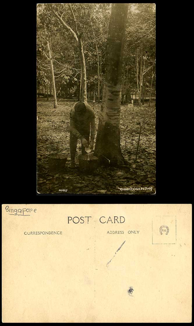 Penang Old Real Photo Postcard Rubber Collecting Native Tapper Tapping Tree No45
