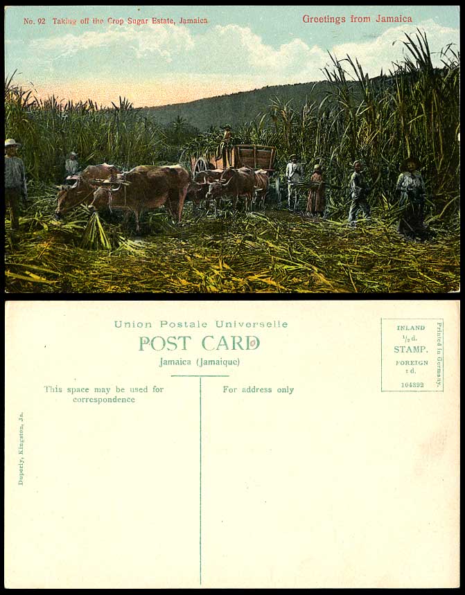 Jamaica Old Postcard Taking off The Crop SUGAR ESTATE Sugar Canes Sugarcanes BWI