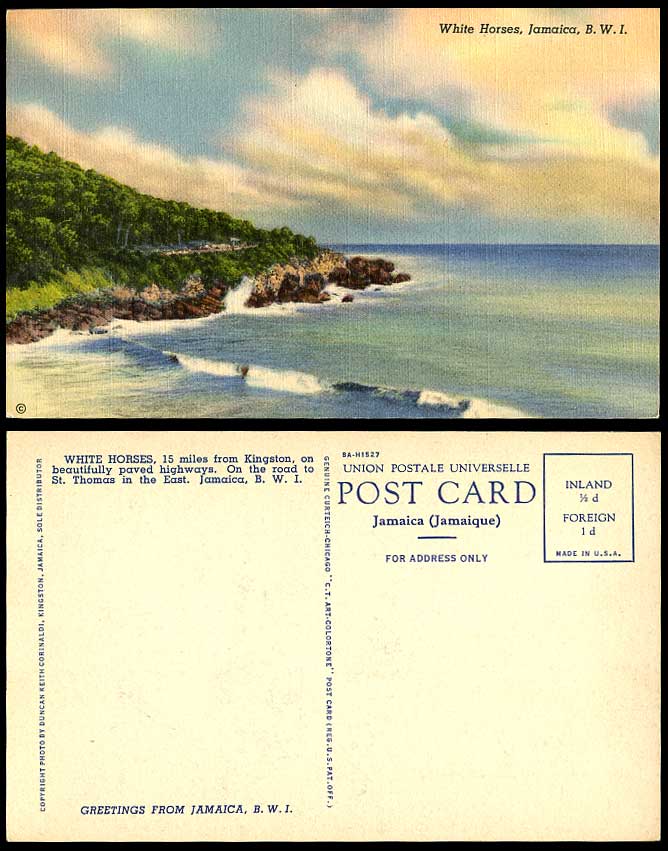 Jamaica Old Colour Postcard White Horses - On the Road to St. Thomas in The East