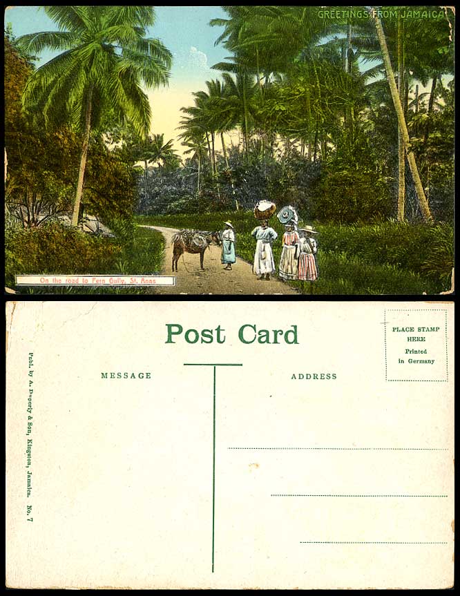 Jamaica Old Colour Postcard On The Road to Fern Gully St. Anns Donkey Women Palm