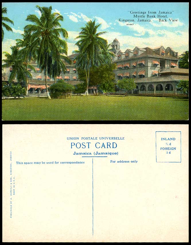 Jamaica Old Colour Postcard Back View Myrtle Bank Hotel, Kingston Palm Trees BWI
