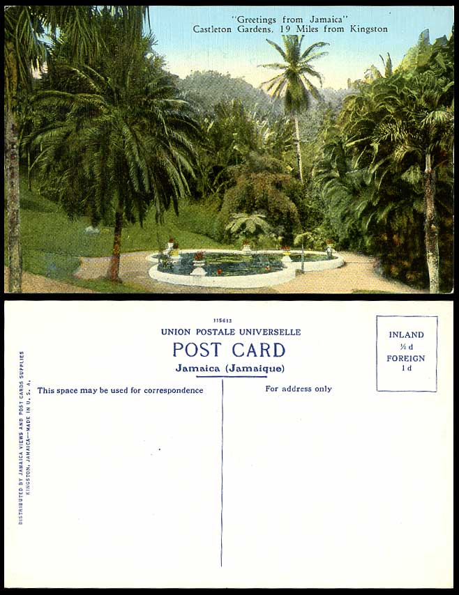 Jamaica Old Postcard Castleton Gardens 19 Mile from Kingston Lily Pond Palm Tree