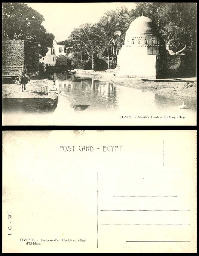Egypt Old B/W Postcard Cairo Sheikh's Tomb El-Marg Village Tombeau Cheikh Donkey