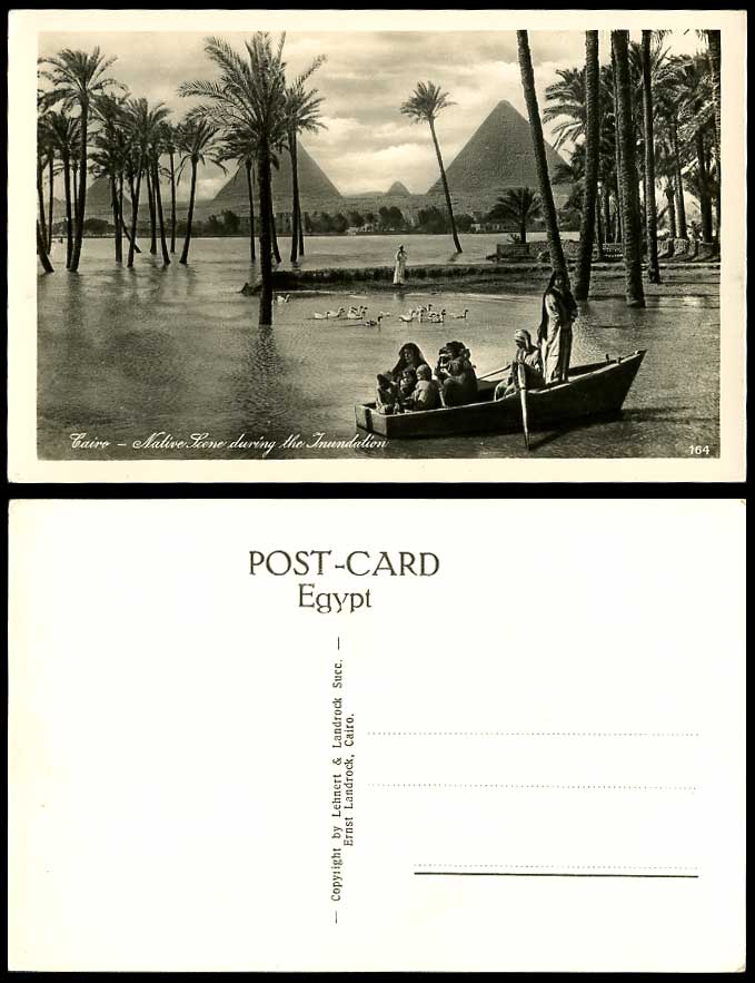 Egypt Old Postcard Cairo Inundation Flooded Nile River Pyramids Boat Ducks Birds