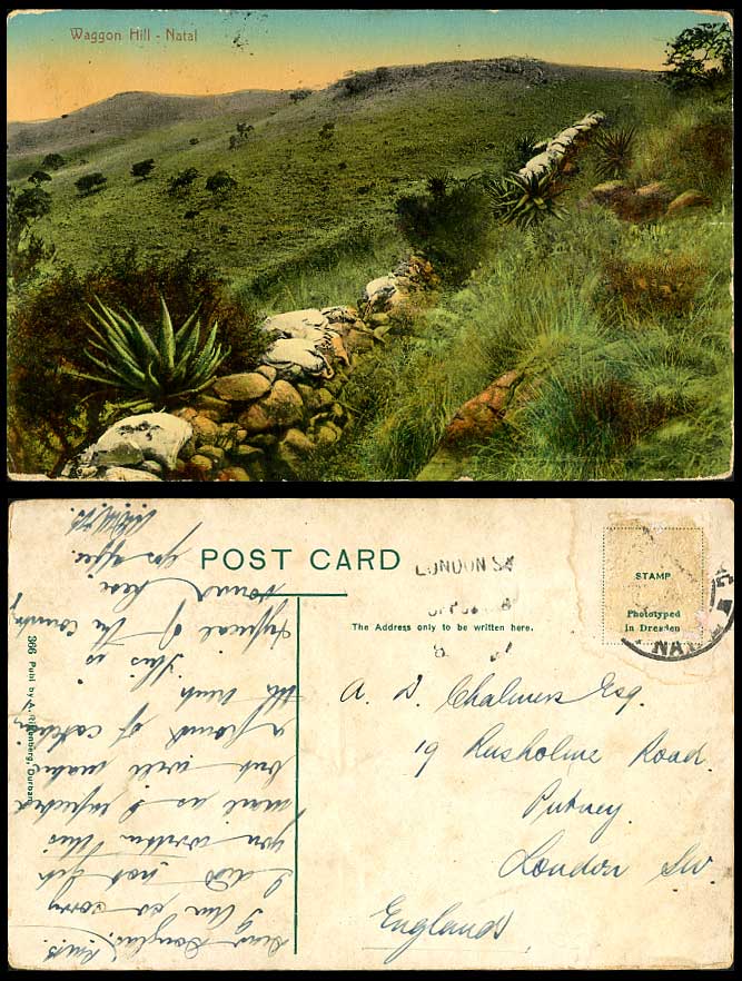 South Africa Old Colour Postcard Natal, Waggon Hill, Mountains, Aloe Vera, Rocks