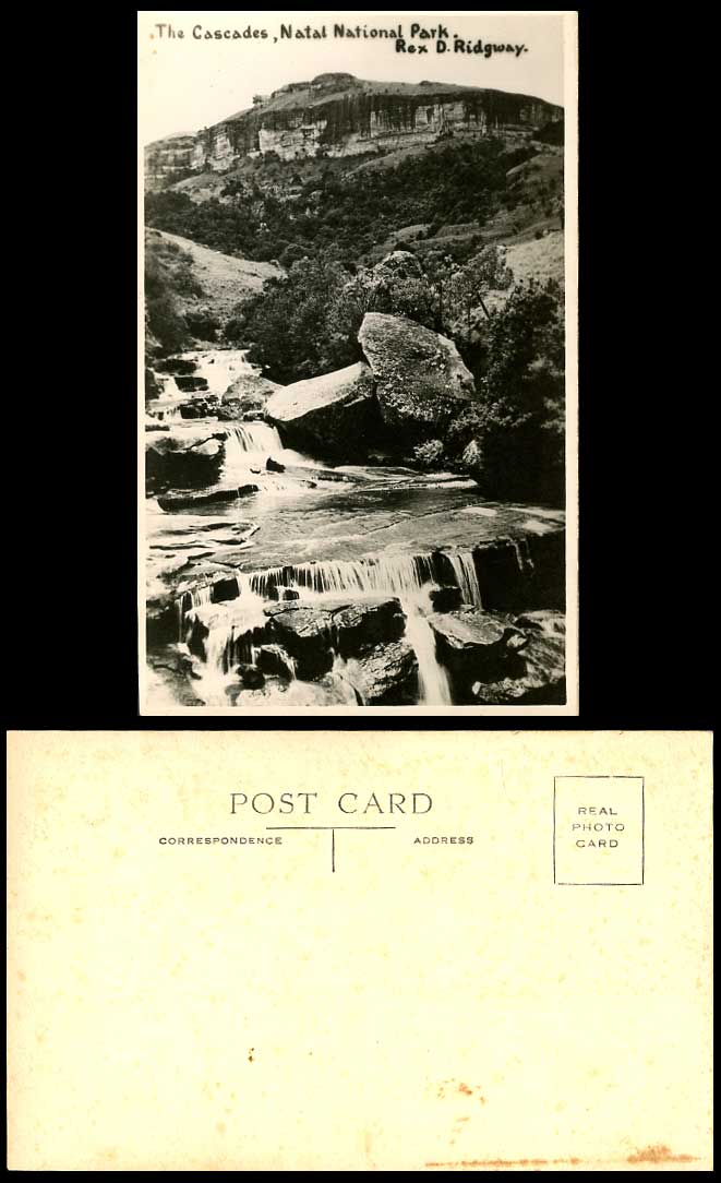 South Africa Natal National Park, The Cascades Falls Rex D. Ridgway Old Postcard