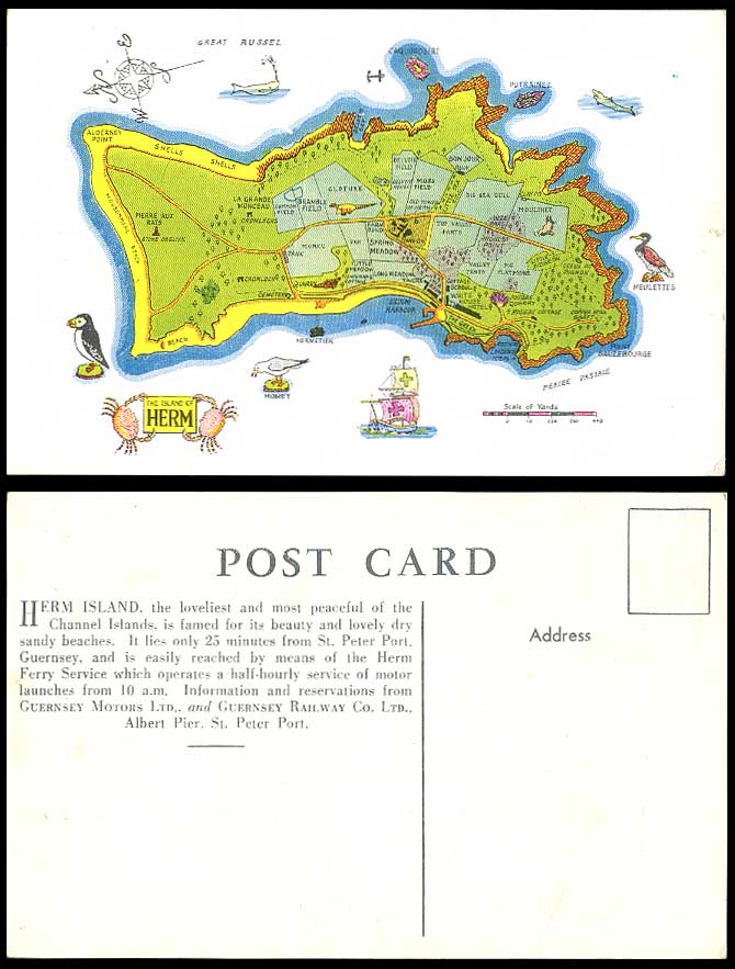 Herm Island MAP Bailiwick Guernsey Alderney Point Homet Beach Whale Old Postcard