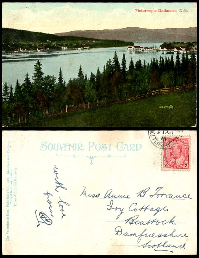 Canada 1910 Old Color Postcard Picturesque Dalhousie N.B. New Brunswick Panorama