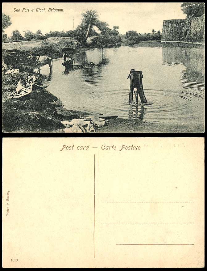 India Old Postcard THE FORT, MOAT BELGAUM Cattle Dhobi Washing Buffalo Buffaloes