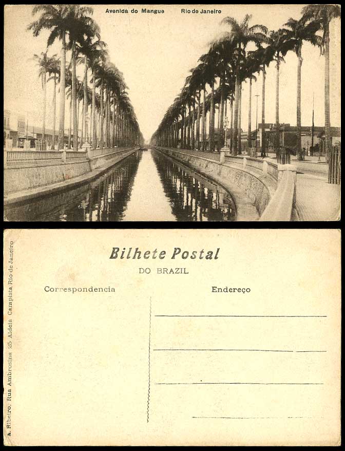 Brazil Old Postcard Rio de Janeiro Avenida do Mangue Avenue, Palm Trees by River
