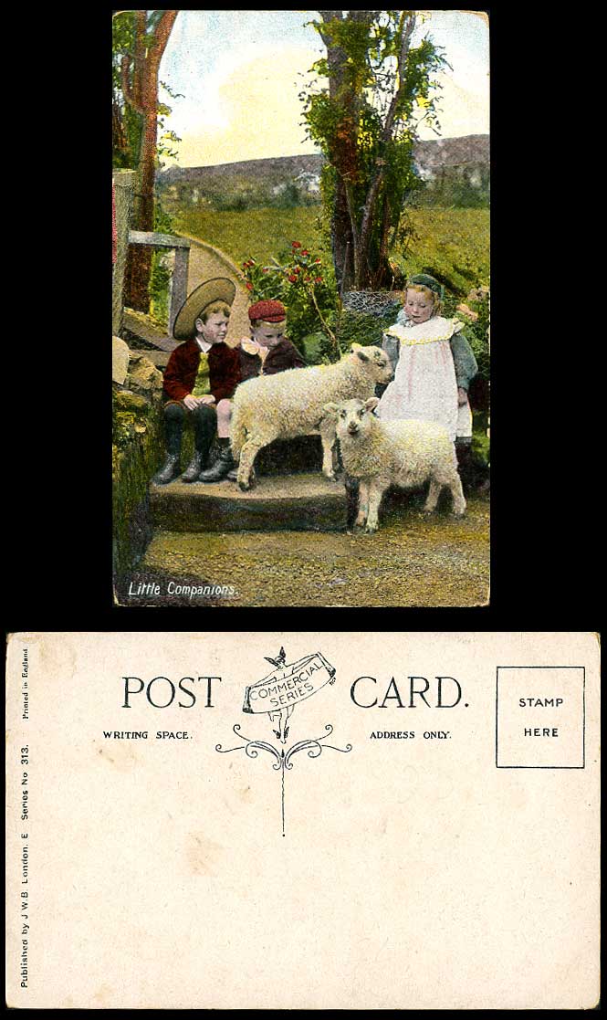 Sheep Lamb Little Boys & Girl Children Little Companions Old Colour Postcard 313