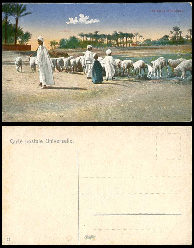 Egypt Old Colour Postcard Bedouin Shepherds Sheep, Pasteurs Bedouins Native Boys