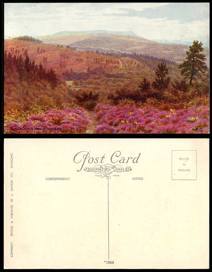 A.R.Q Quinton Old Postcard Blackdown from HINDHEAD Surrey Hills Flowers Panorama
