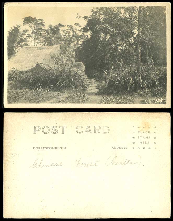 China Canton Forest, Native Hut House, Trees & Road Path Old Real Photo Postcard