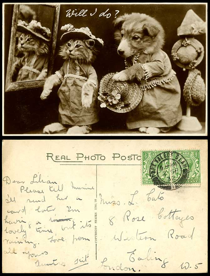 Dressed Cats Kittens, Mirror Hats Will I Do Fashion Glamour 1932 Old RP Postcard