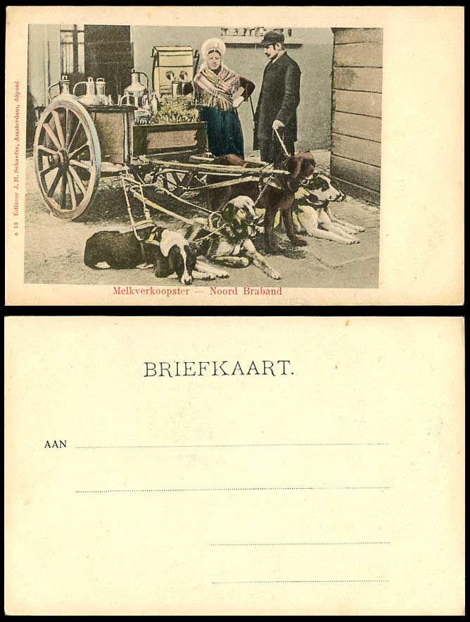 DOG DOGS DRAWN CART Milk-Maid Noord North Brabant Dutch Old Hand Tinted Postcard