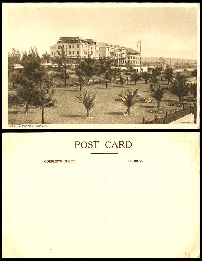 South Africa Old Postcard Marine Parade, Durban, African Gardens Trees Panorama