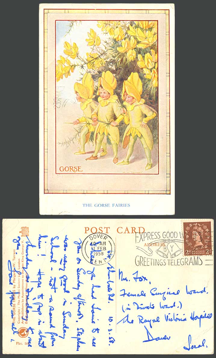 Margaret W. Tarrant 1958 Old Postcard The Gorse Fairies Yellow Flowers Telegrams