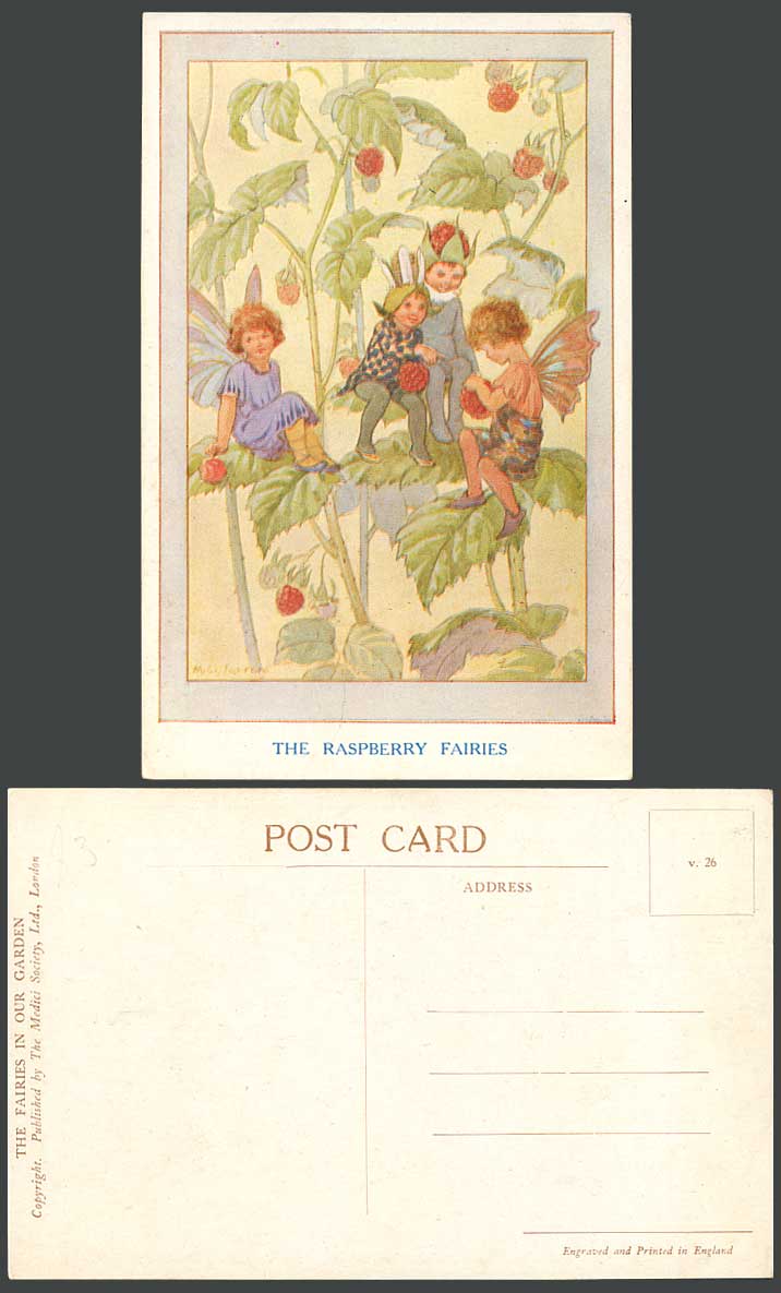 M.W. Tarrant Artist Signed Old Postcard The Raspberry Fairies in Our Garden