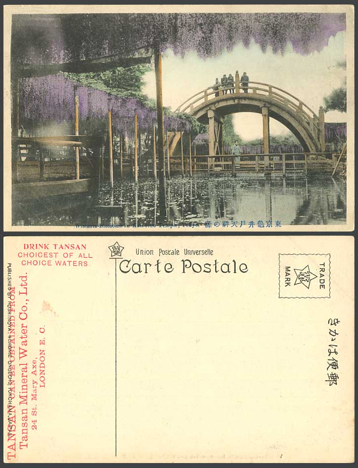 Japan Old Tinted Postcard Wistaria Blossoms Tokyo Kameido Bridge Tansan Water AD
