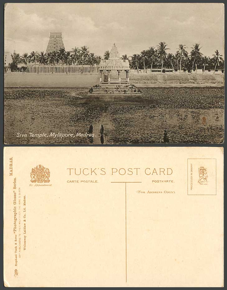 India Old Tuck's Postcard Madras Siva Temple Mylapore Pavilion Pagoda Palm Trees