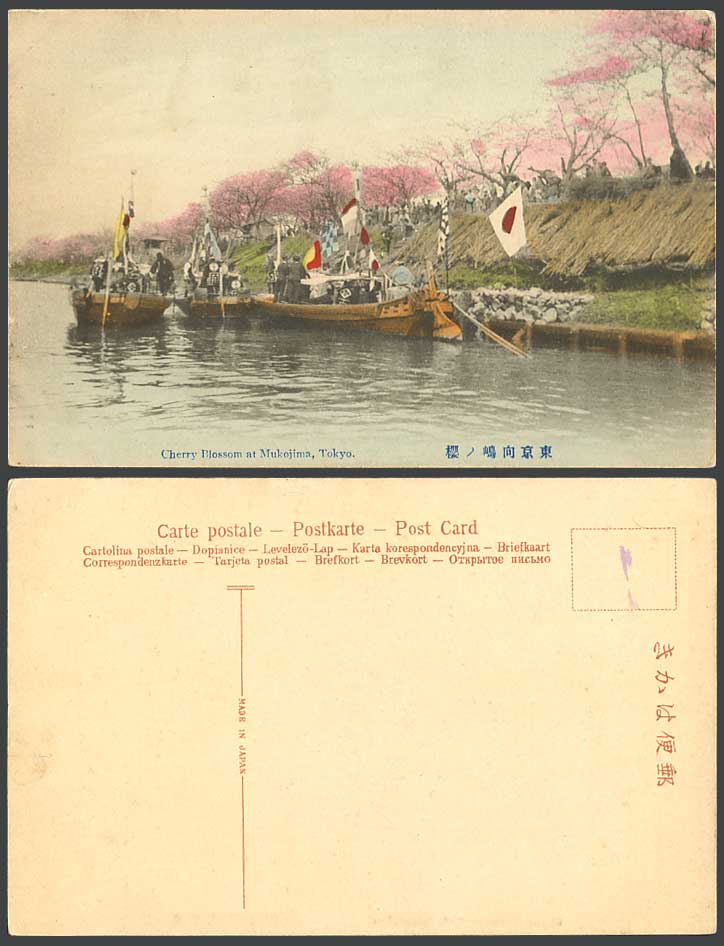 Japan Old Hand Tinted Postcard Cherry Blossoms Mukojima, Tokyo, Boats Flag 東京向嶋櫻