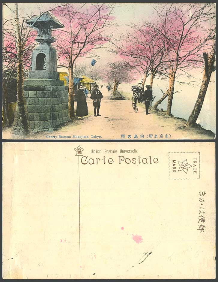 Japan Old Hand Tinted Postcard Cherry Blossom Mukojima Tokyo Lantern Rickshaw向島櫻