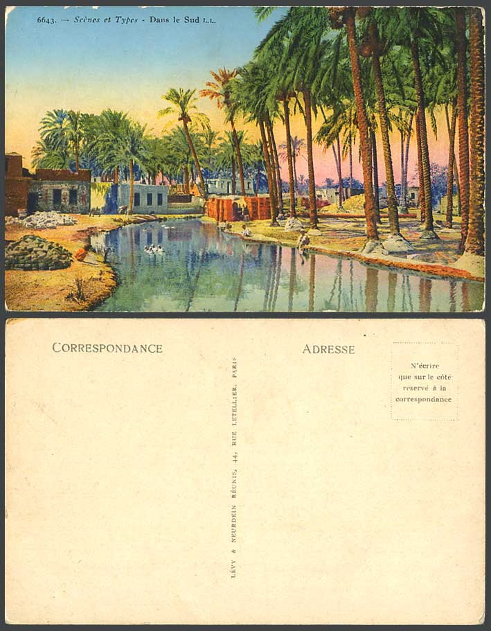 Morocco Old Postcard Dans le Sud, Palm Trees, Bathers River Scene Oasis in South
