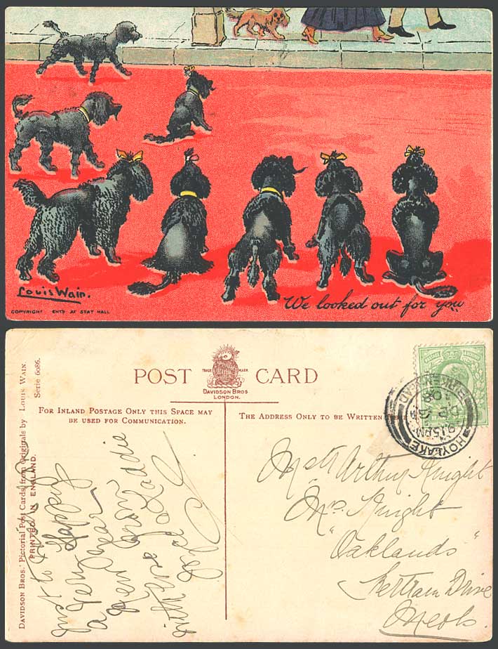 Louis Wain Artist Signed Black Poodle Dogs We Look Out For You 1908 Old Postcard