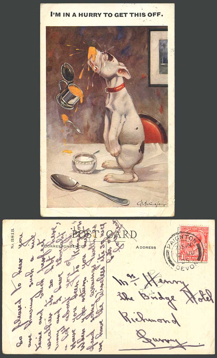 BONZO DOG GE Studdy 1925 Old Postcard I'm in a Hurry to Get This Off. Spoon 3813
