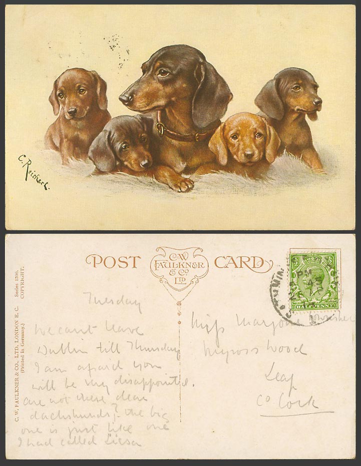 C. Reichert Artist Signed Dachshund German Sausage Dog Puppies 1914 Old Postcard