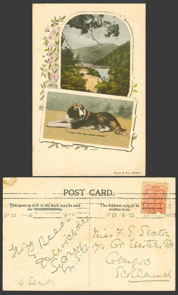 Australia 1908 Old Colour Postcard Snowy River St. Bernard Dog Wish U Good Cheer
