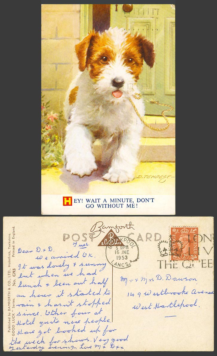 D. Tempest 1953 Old Postcard Dog Puppy - Hey Wait a Minute, Don't Go Without Me!