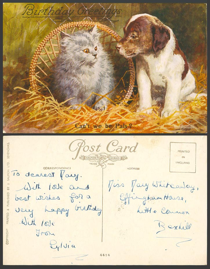 Cat Kitten Dog Puppy Can't We Be Pals? Birthday Greetings Art Drawn Old Postcard