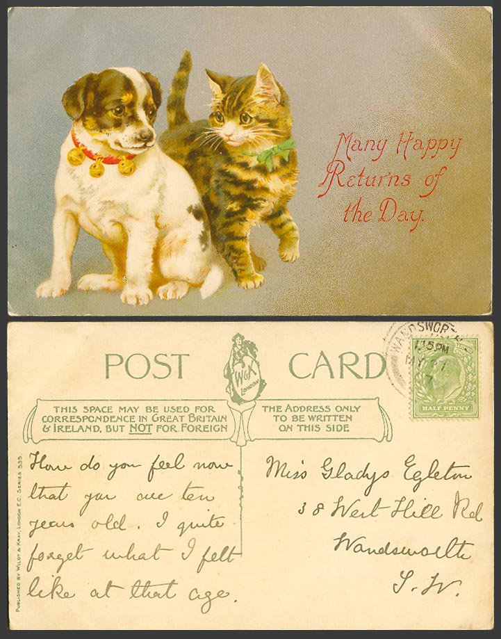 Dog Puppy & Cat Kitten Many Happy Returns of The Day Greetings 1907 Old Postcard