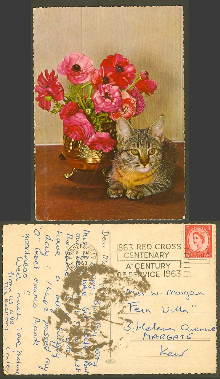 Cat Kitten Flowers Red Cross Centenary Century of Service 1863 1963 Old Postcard