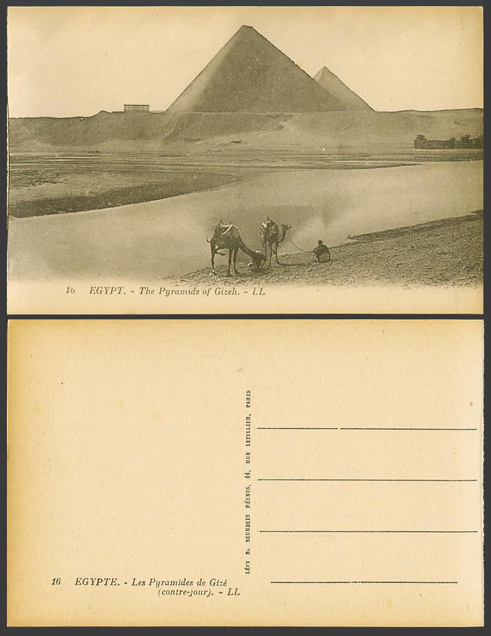 Egypt Old Postcard Cairo Pyramids of Gizeh Giza Camels Desert Sand Dunes L.L. 16