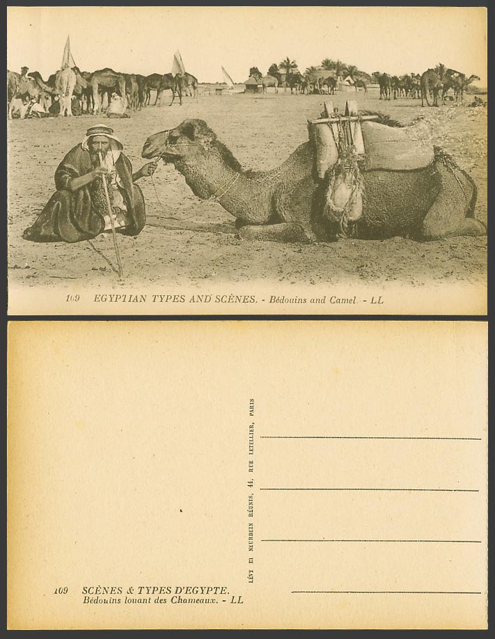 Egypt Old Postcard Bedouins Camel Resting, Beduins louant les Chameaux L.L. 109