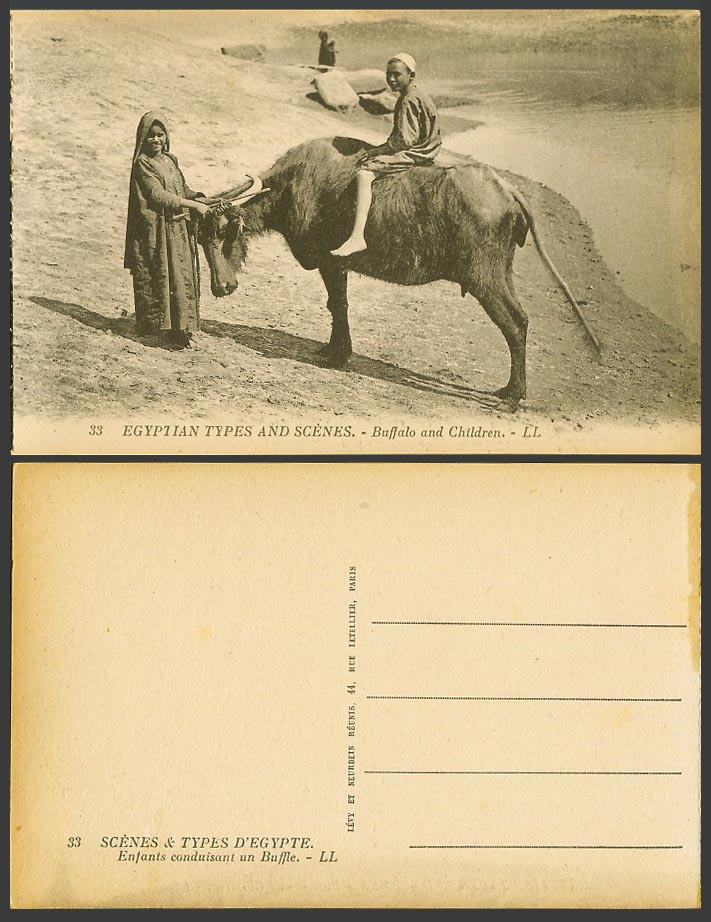 Egypt Old Postcard BUFFALO & CHILDREN Boy Riding Buffalo Little Girl River LL 33