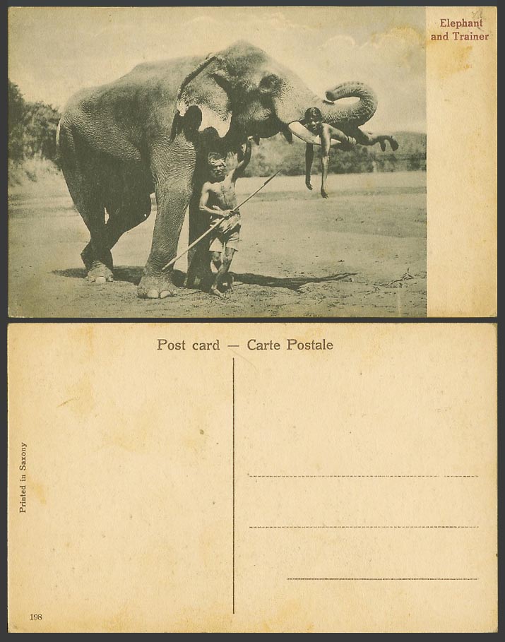 India Old Postcard Young Boy on ELEPHANT TOOTH, TRAINER, Ethnic Life No. 198