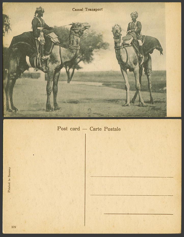 India Pakistan Old Postcard Camel Transport and Native Camels Riders Ethnic Life