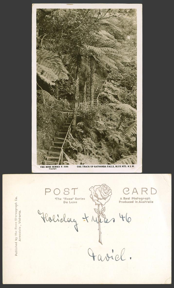 Australia Old Real Photo Postcard The Track Up Katoomba Falls Blue Mountains NSW