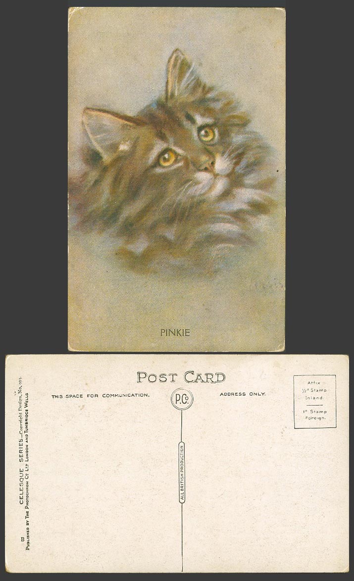 Louis Wain Style Cat Kitten, Pinkie, Artist Drawn Old Colour Postcard Photochrom