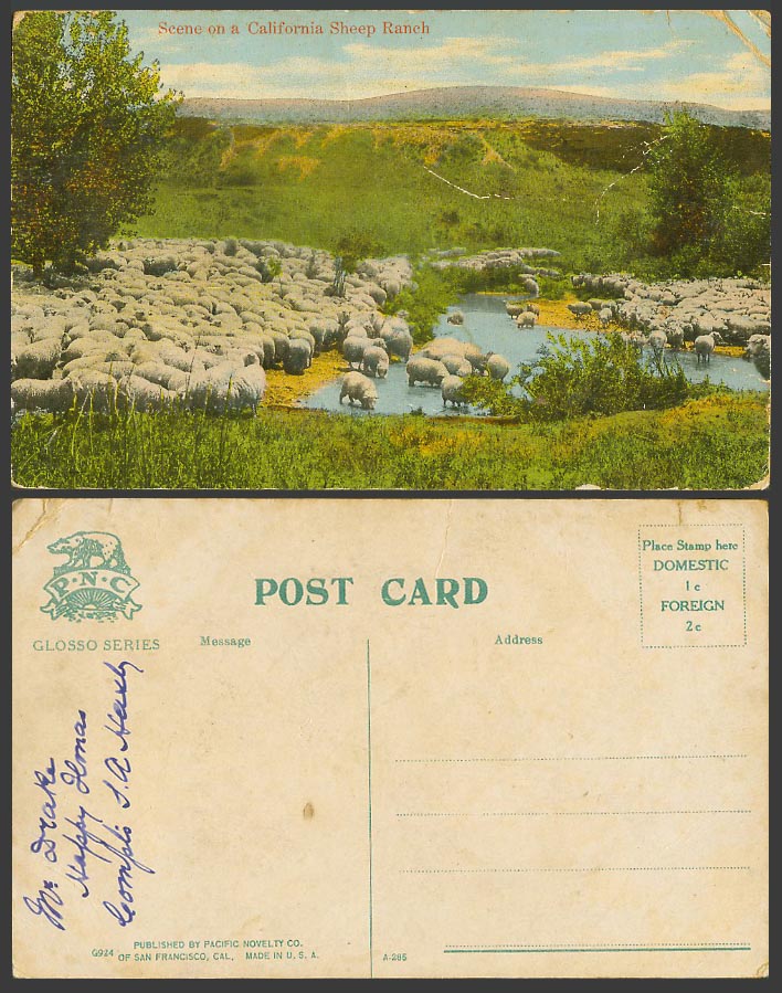 USA Old Colour Postcard Scene on a California Sheep Ranch, Hills Panorama P.N.C.