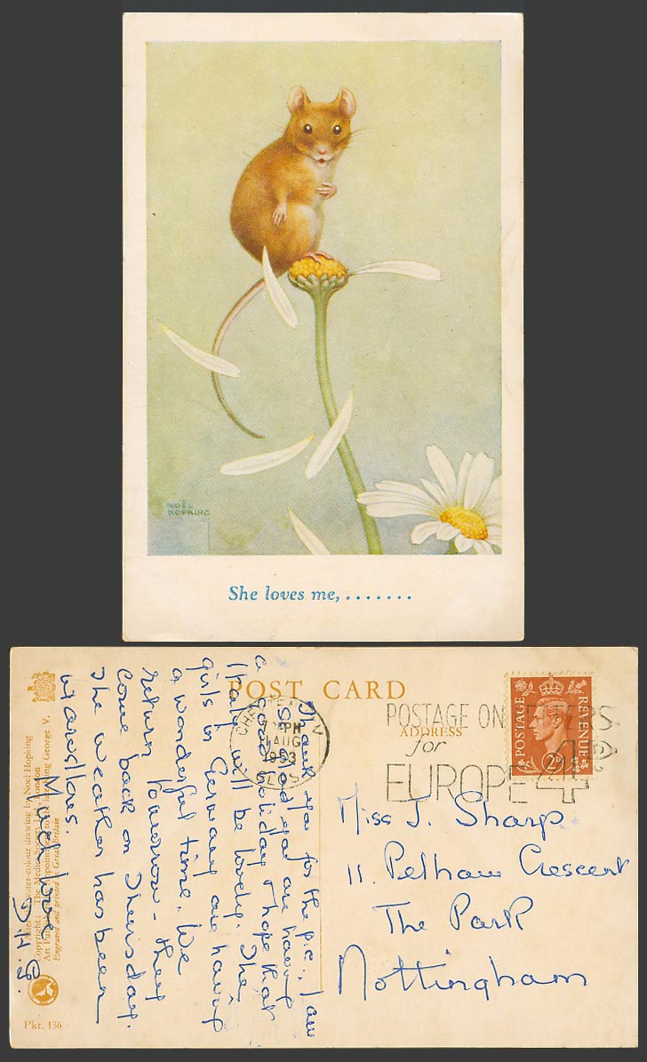 Noel Hopking Artist Signed 1953 Old Postcard She Loves Me, Mice Rat Count Petals