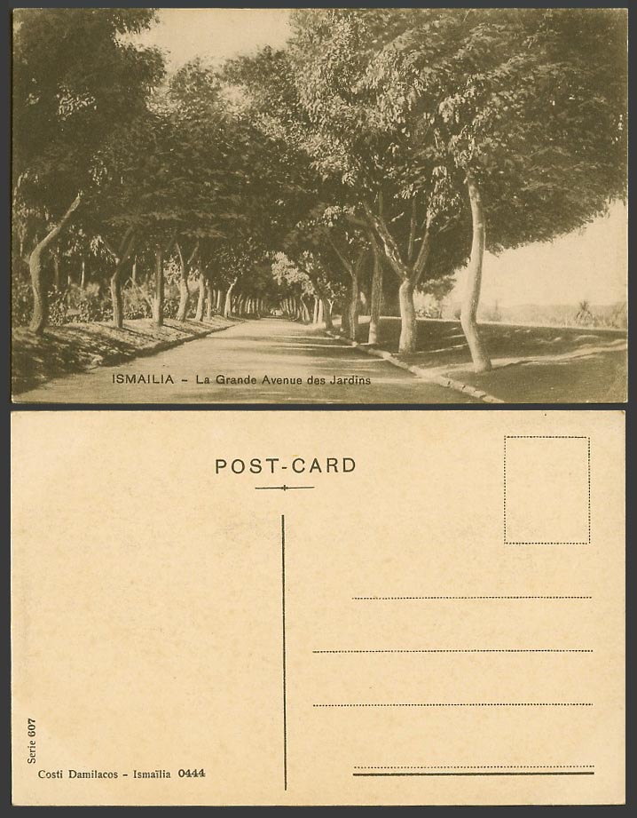 Egypt Old Postcard Ismailia, La Grande Avenue des Jardins, Ave. of Gardens Trees