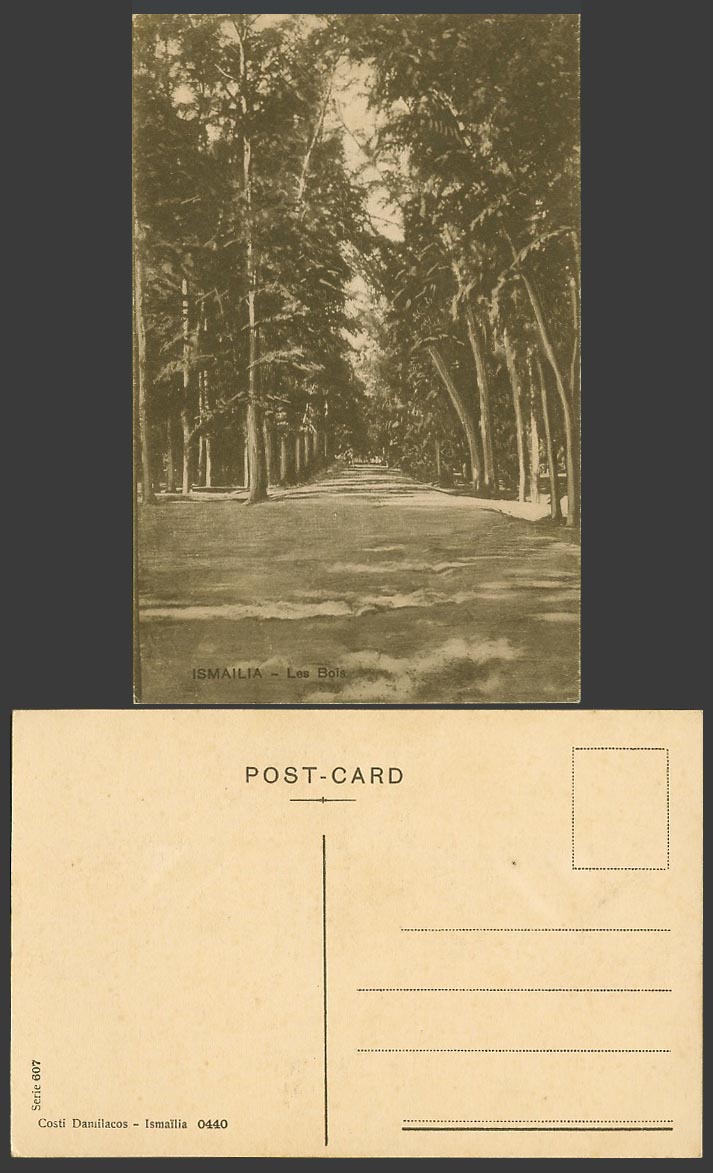 Egypt Old Postcard ISMAILIA Les Bois Trees Tree-lined Street Scene Forest No.607