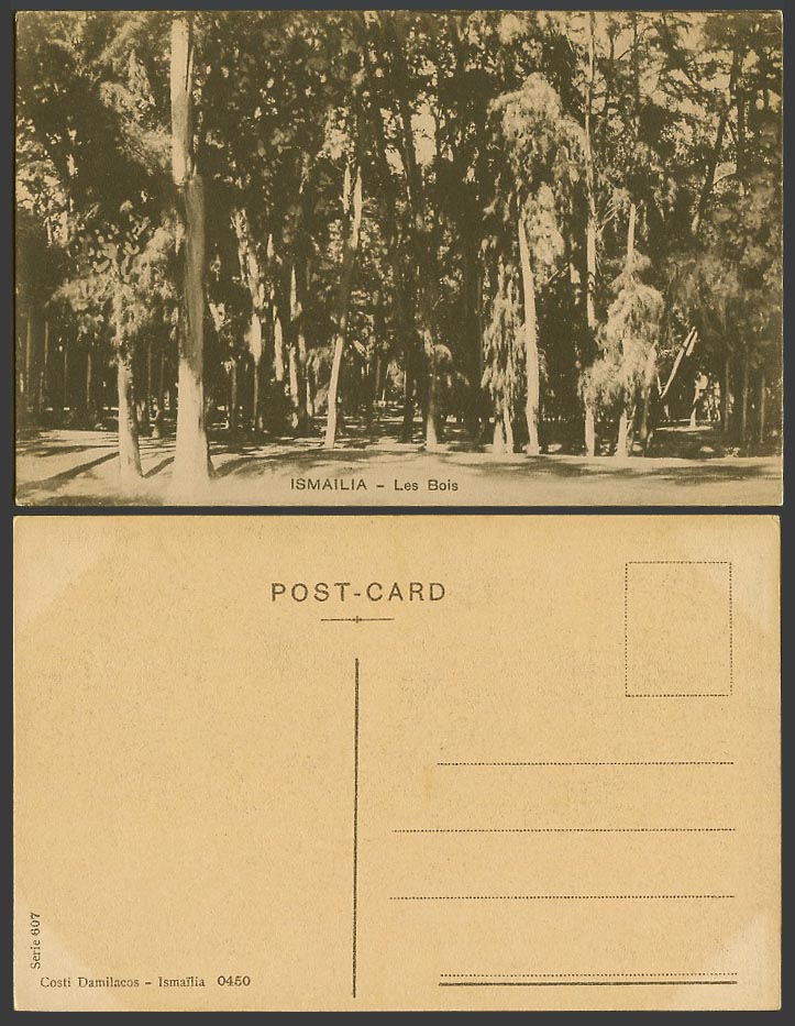Egypt Old Postcard Ismailia Les Bois Woods Forest Trees Costi Damilacos 0450 607